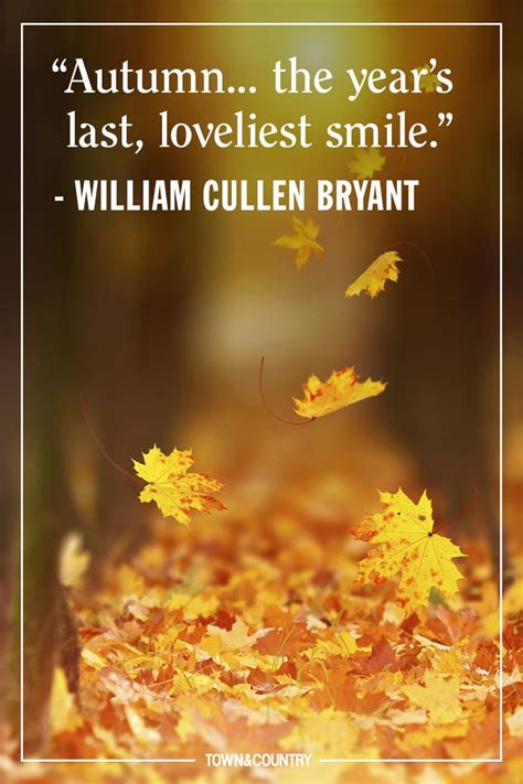 best quotes about autumn|positive quotes about autumn.